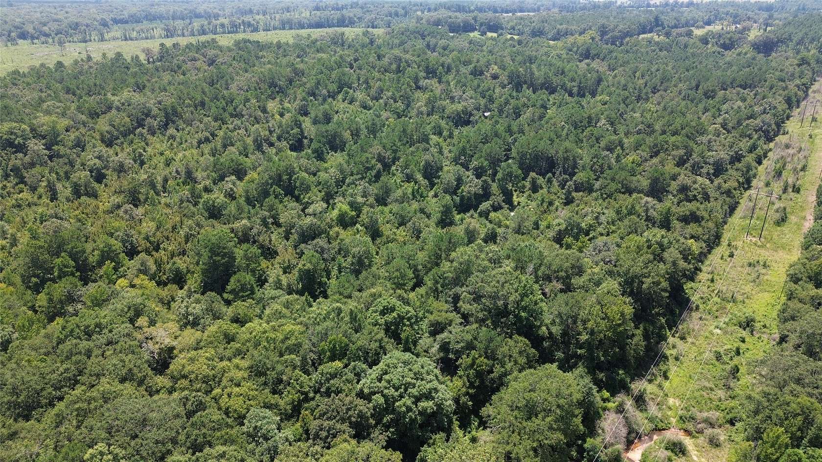 43.7 Acres of Recreational & Residential Land for Sale in Hughes Springs, Texas