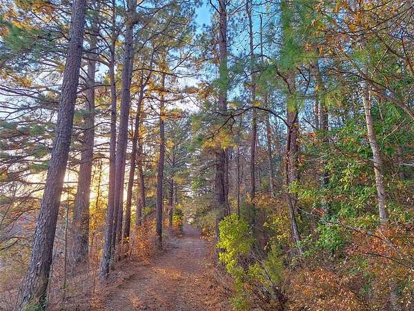 43.7 Acres of Recreational Land for Sale in Hughes Springs, Texas