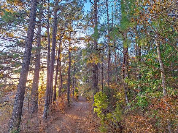 43.7 Acres of Recreational & Residential Land for Sale in Hughes Springs, Texas