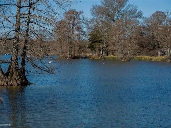 1 Acre of Residential Land for Sale in Shreveport, Louisiana