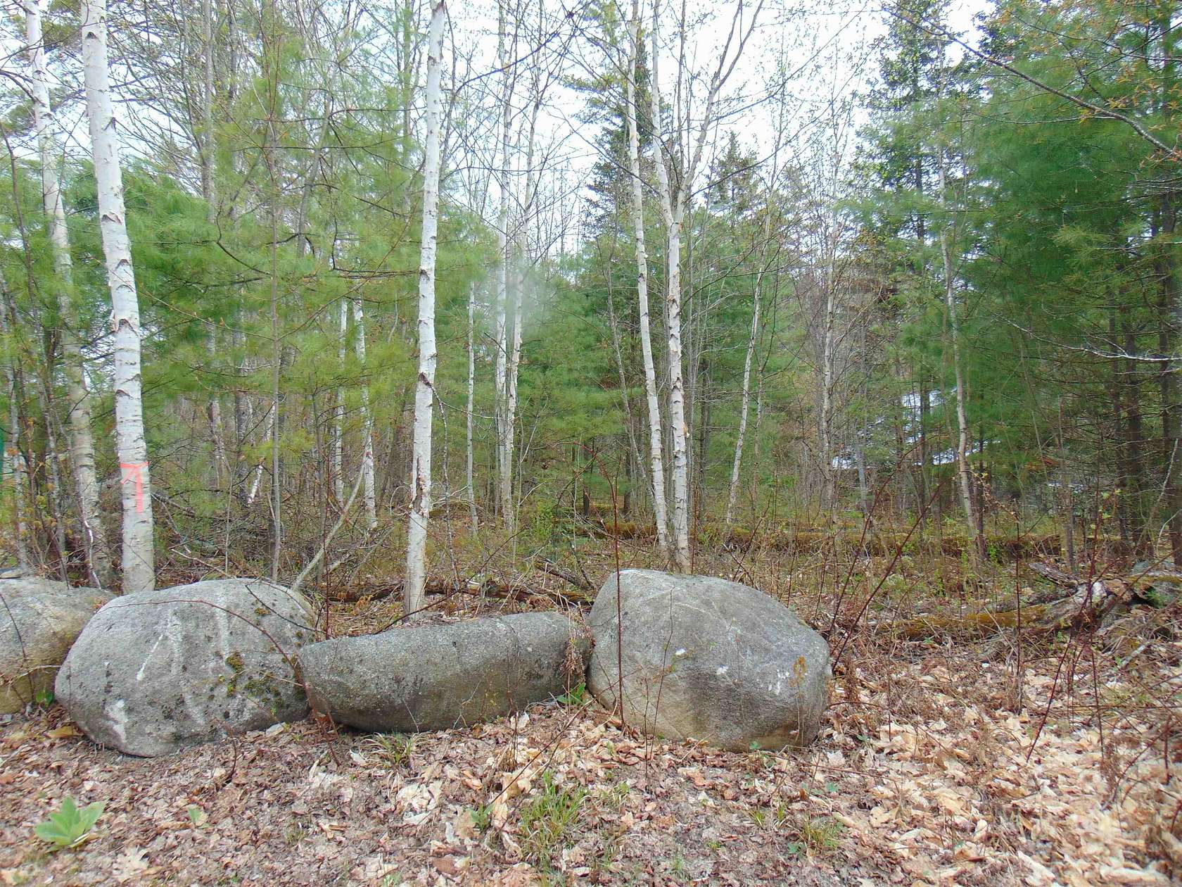 0.36 Acres of Land for Sale in Concord, Vermont