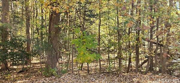 2.58 Acres of Residential Land for Sale in Macon, North Carolina
