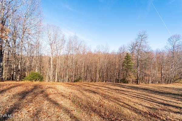 1 Acre of Residential Land for Sale in Piney Flats, Tennessee
