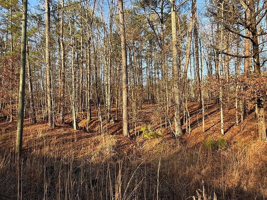 Land for Sale in Sparta, Georgia