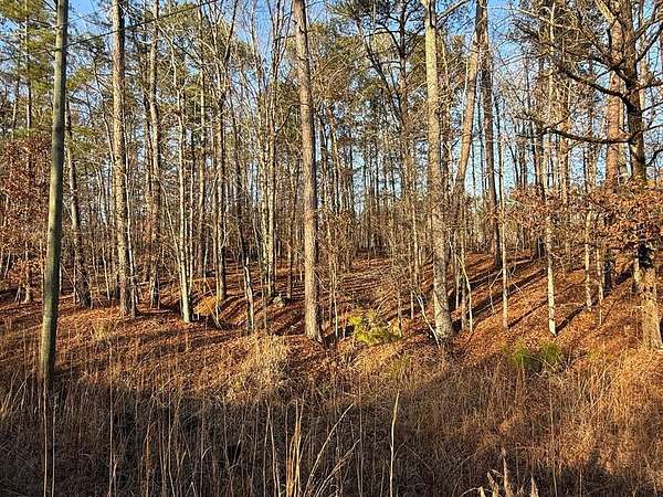 Residential Land for Sale in Sparta, Georgia