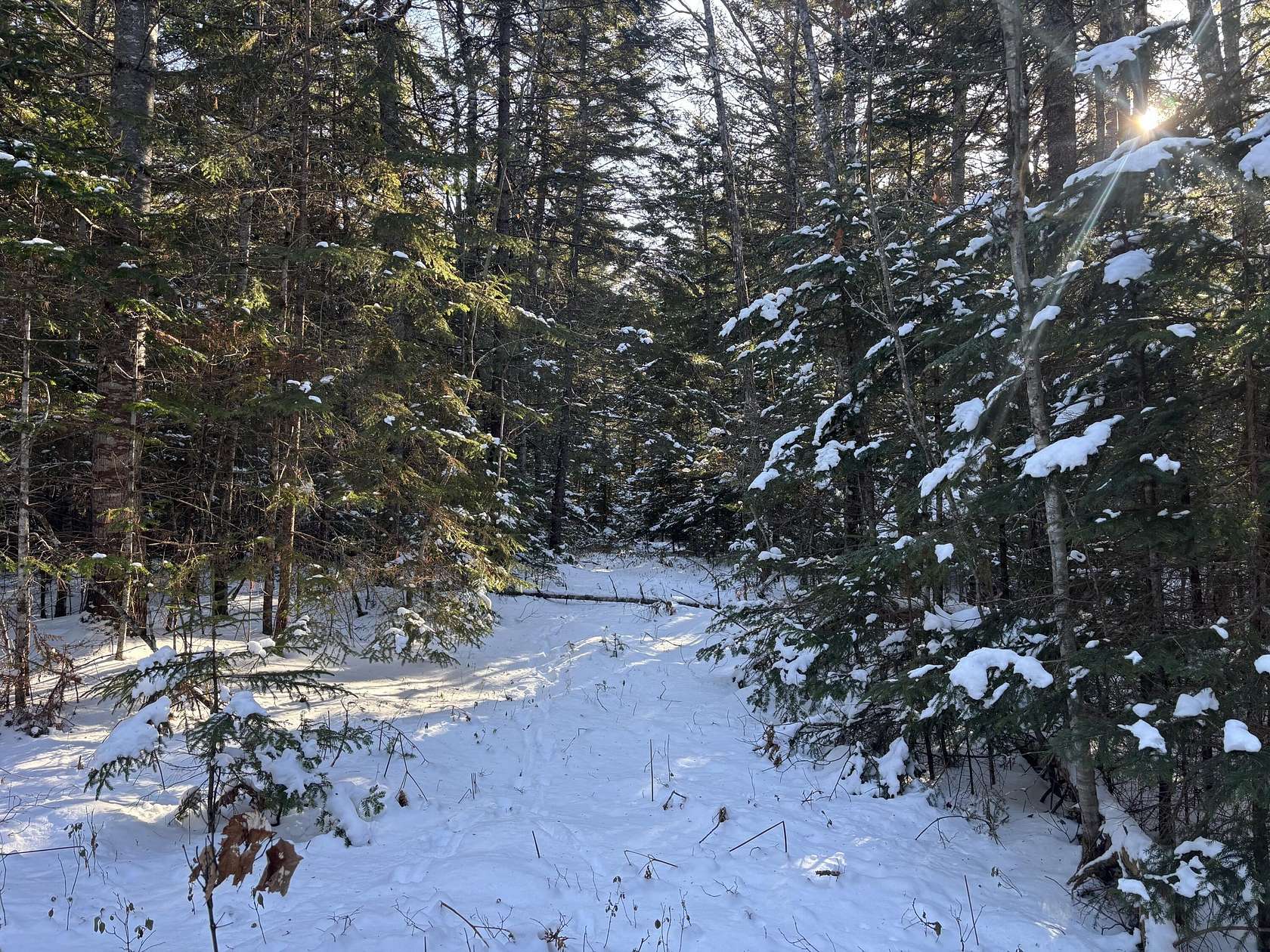 30 Acres of Recreational Land for Sale in Steuben, Maine