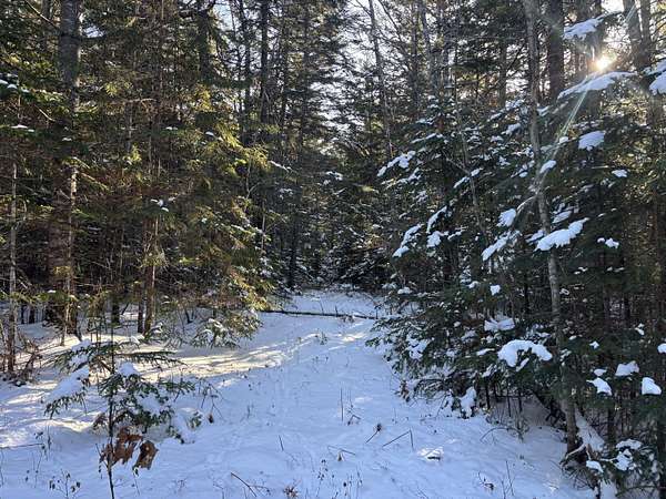 30 Acres of Recreational Land for Sale in Steuben, Maine