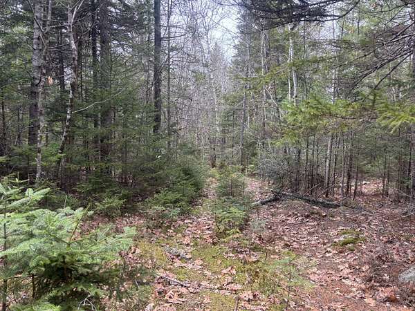 30 Acres of Recreational & Residential Land for Sale in Steuben, Maine