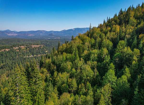 20 Acres of Recreational Land for Sale in Priest River, Idaho