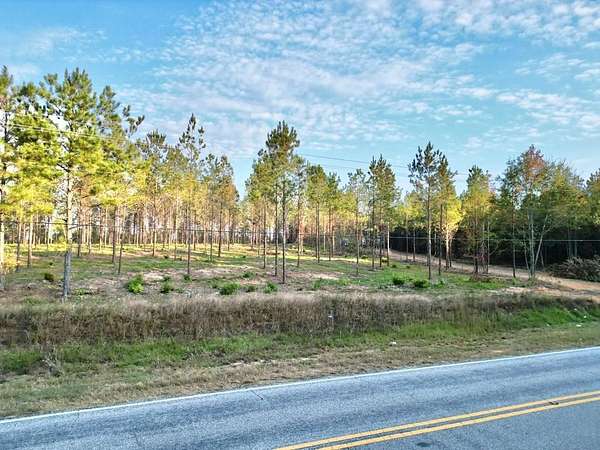 5 Acres of Residential Land for Sale in Banks, Alabama