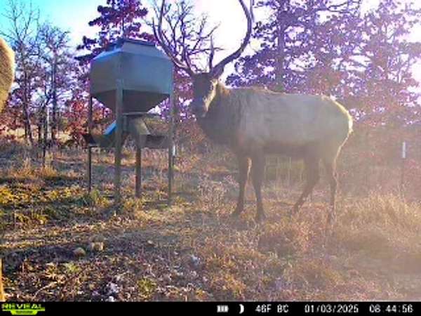 410 Acres of Recreational Land for Sale in Coalgate, Oklahoma