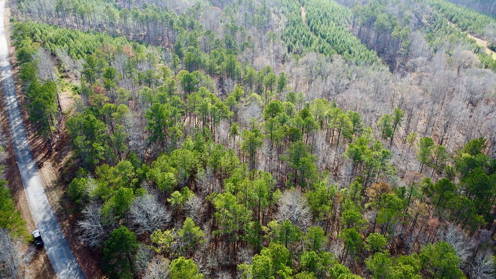 4.6 Acres of Residential Land for Sale in Cragford, Alabama