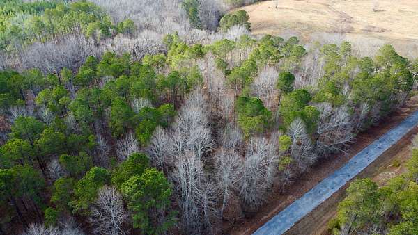 5 Acres of Residential Land for Sale in Cragford, Alabama