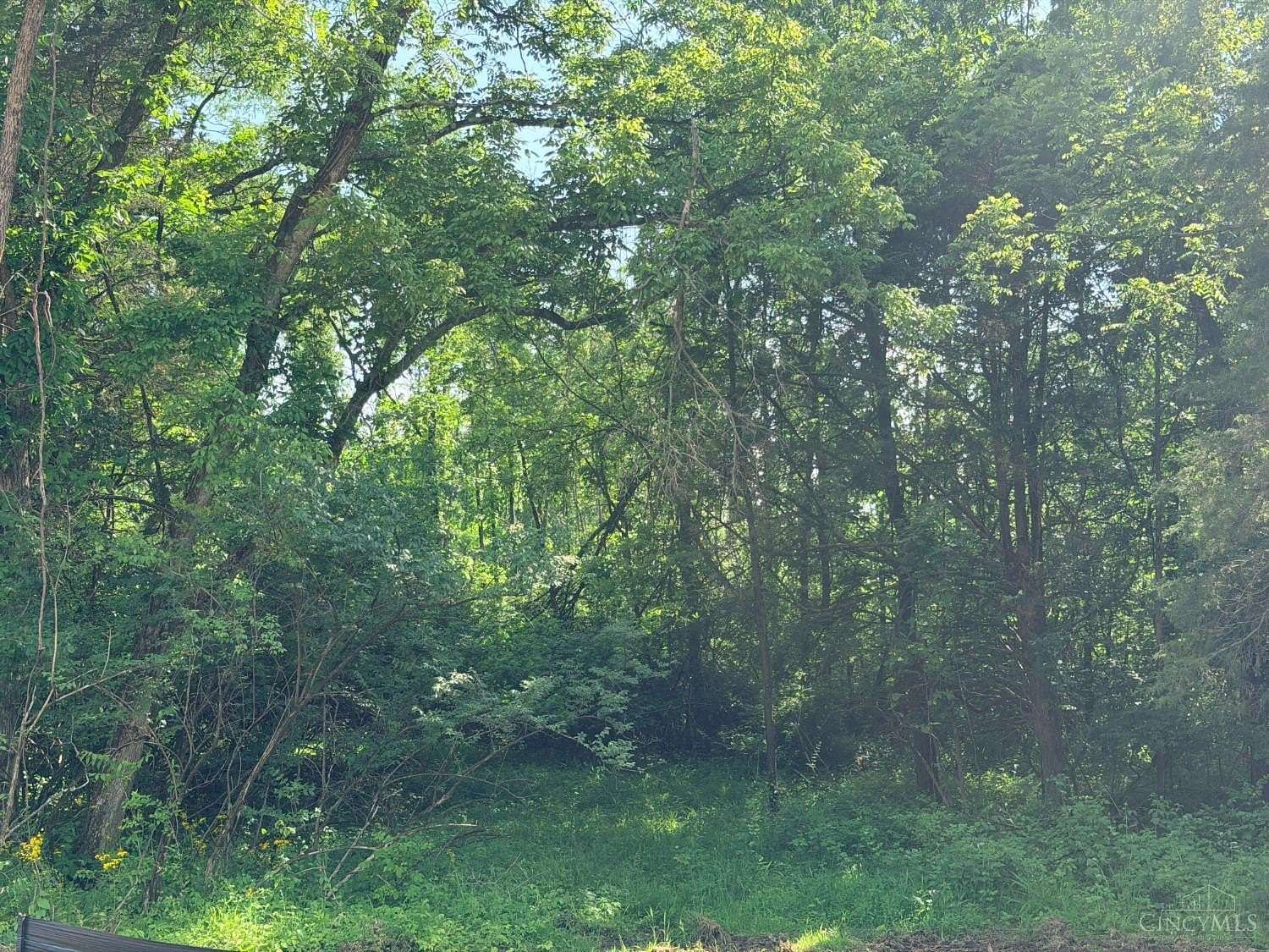 5 Acres of Residential Land for Sale in Maineville, Ohio