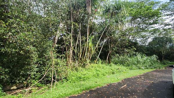 0.28 Acres of Residential Land for Sale in Pahoa, Hawaii