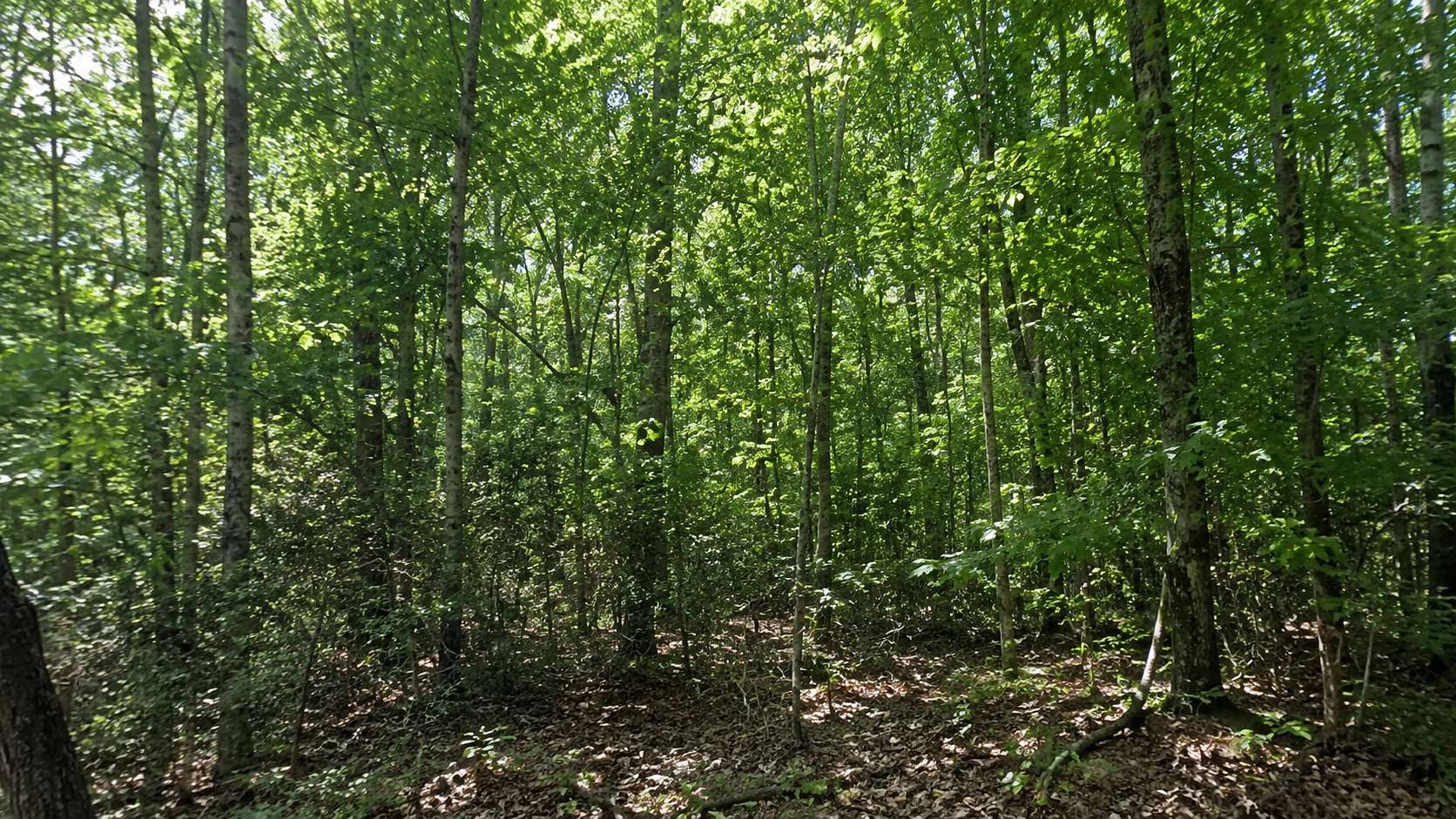 0.25 Acres of Residential Land for Sale in Horseshoe Bend, Arkansas