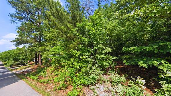 0.25 Acres of Residential Land for Sale in Horseshoe Bend, Arkansas