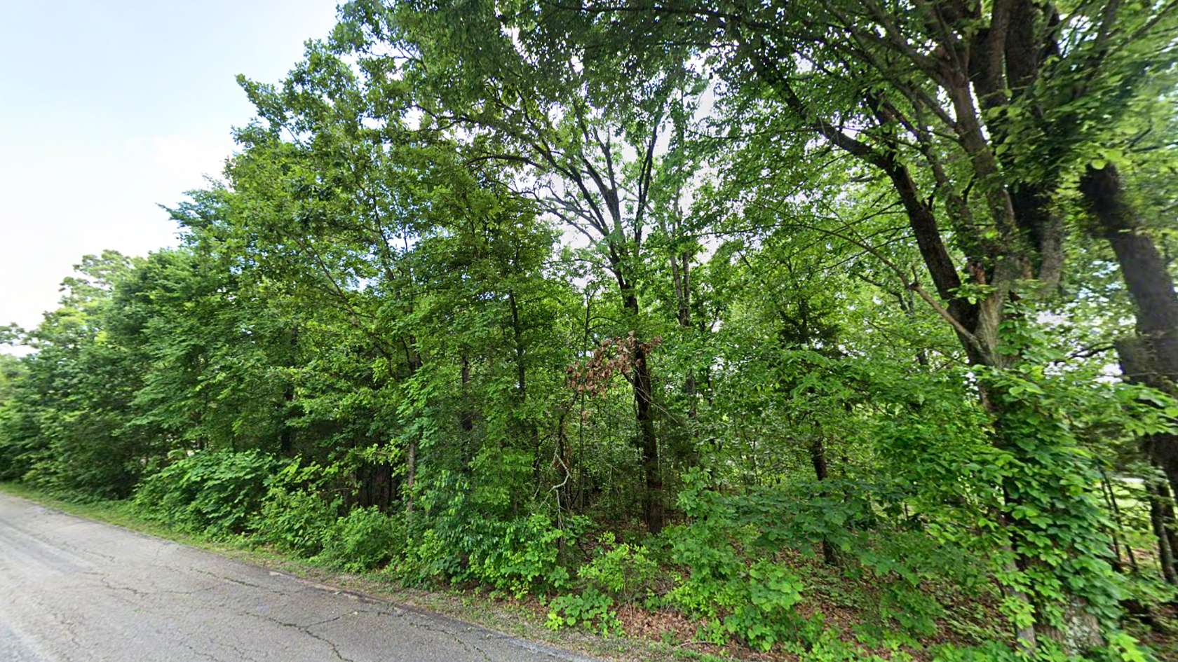 0.31 Acres of Residential Land for Sale in Horseshoe Bend, Arkansas