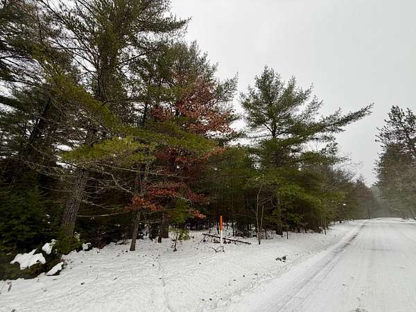 9.88 Acres of Land for Sale in St. Germain Town, Wisconsin