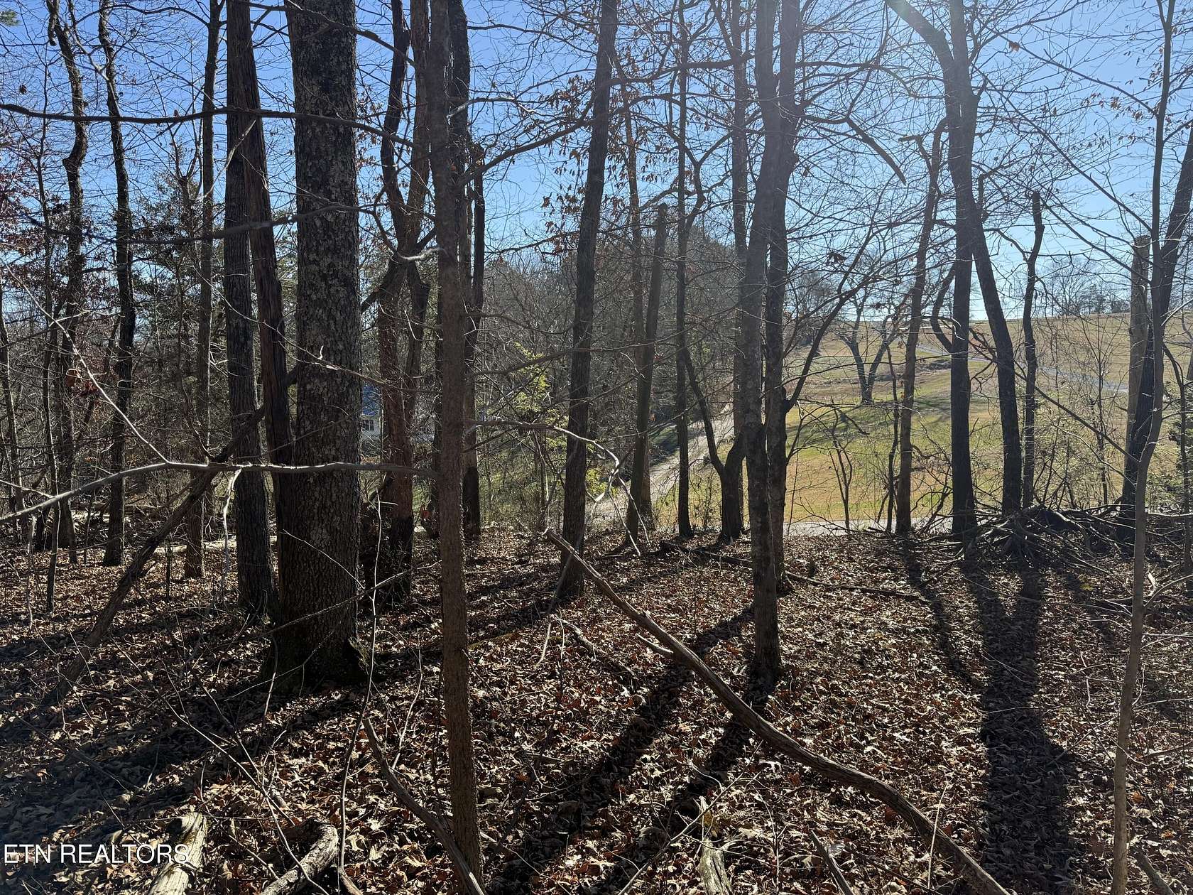 1 Acre of Residential Land for Sale in Rockwood, Tennessee