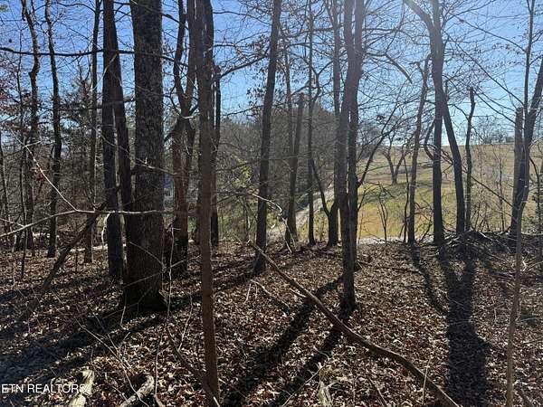 1 Acre of Residential Land for Sale in Rockwood, Tennessee