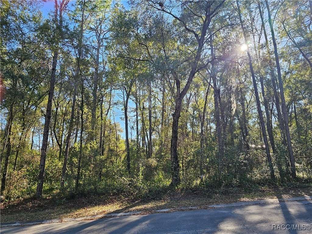 0.22 Acres of Residential Land for Sale in Inverness, Florida
