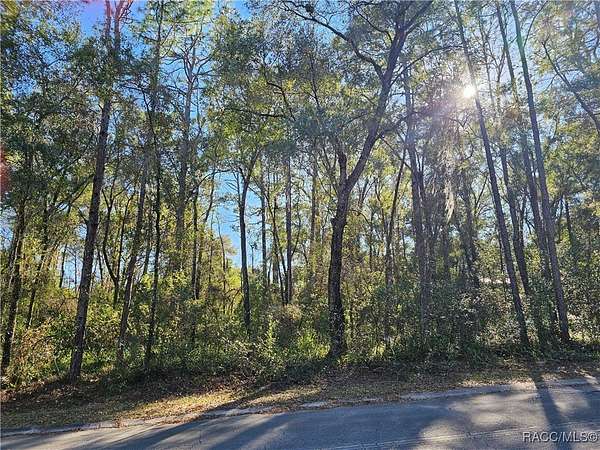 0.22 Acres of Residential Land for Sale in Inverness, Florida