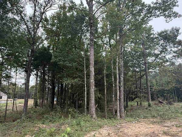 1 Acre of Residential Land for Sale in Greenbrier, Arkansas