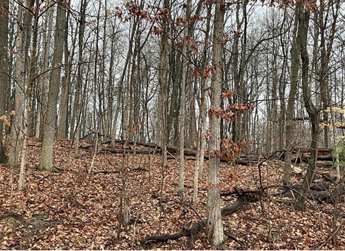 5 Acres of Residential Land for Sale in Pataskala, Ohio