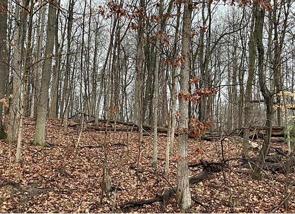 5 Acres of Residential Land for Sale in Pataskala, Ohio