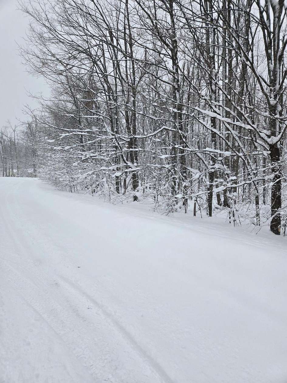 Residential Land for Sale in Vanderbilt, Michigan