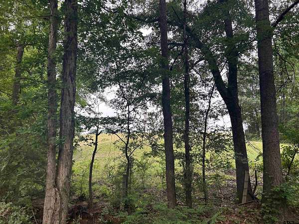 5.45 Acres of Land for Sale in Troup, Texas