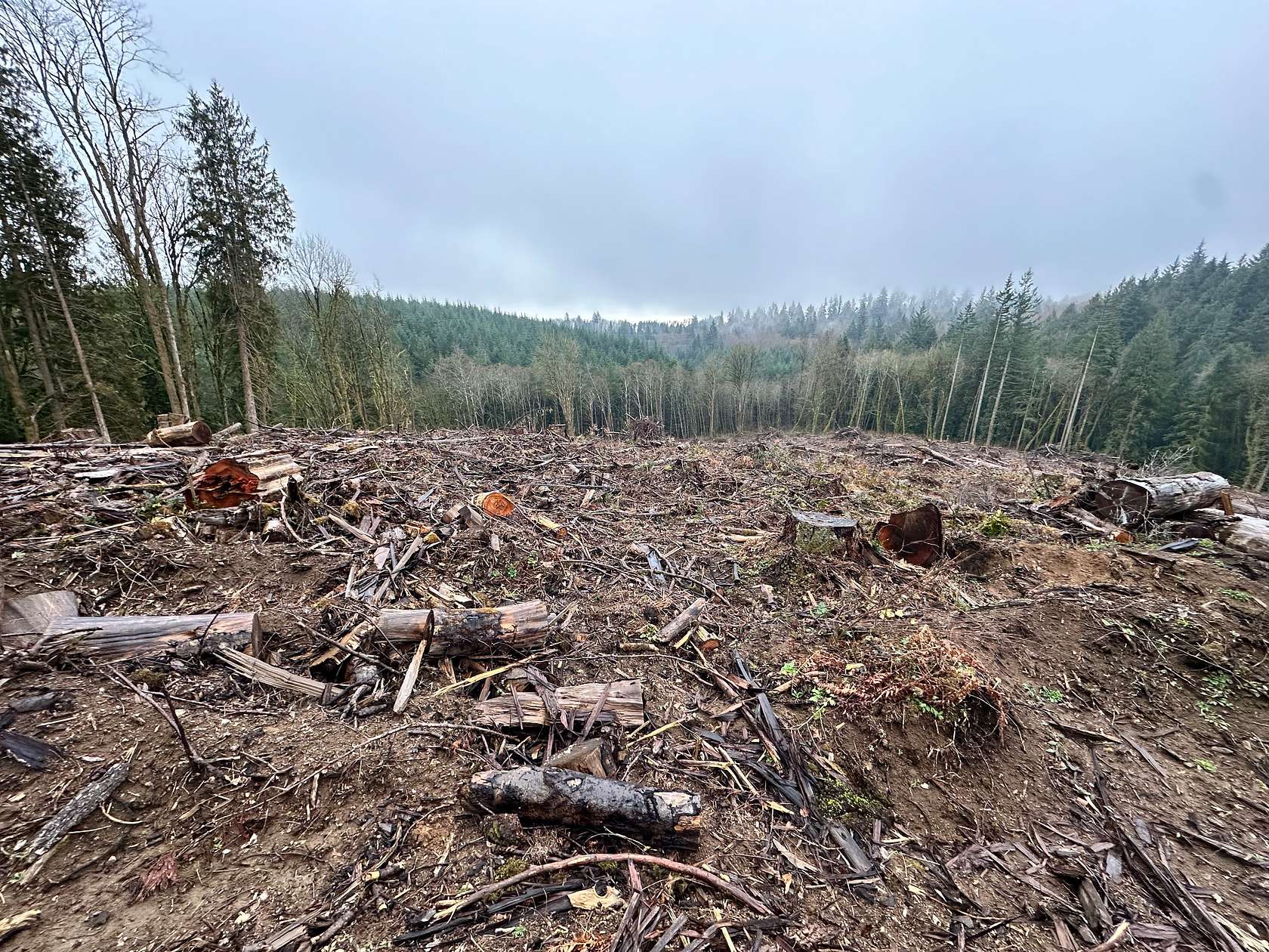 20 Acres of Recreational Land for Sale in Prescott, Oregon