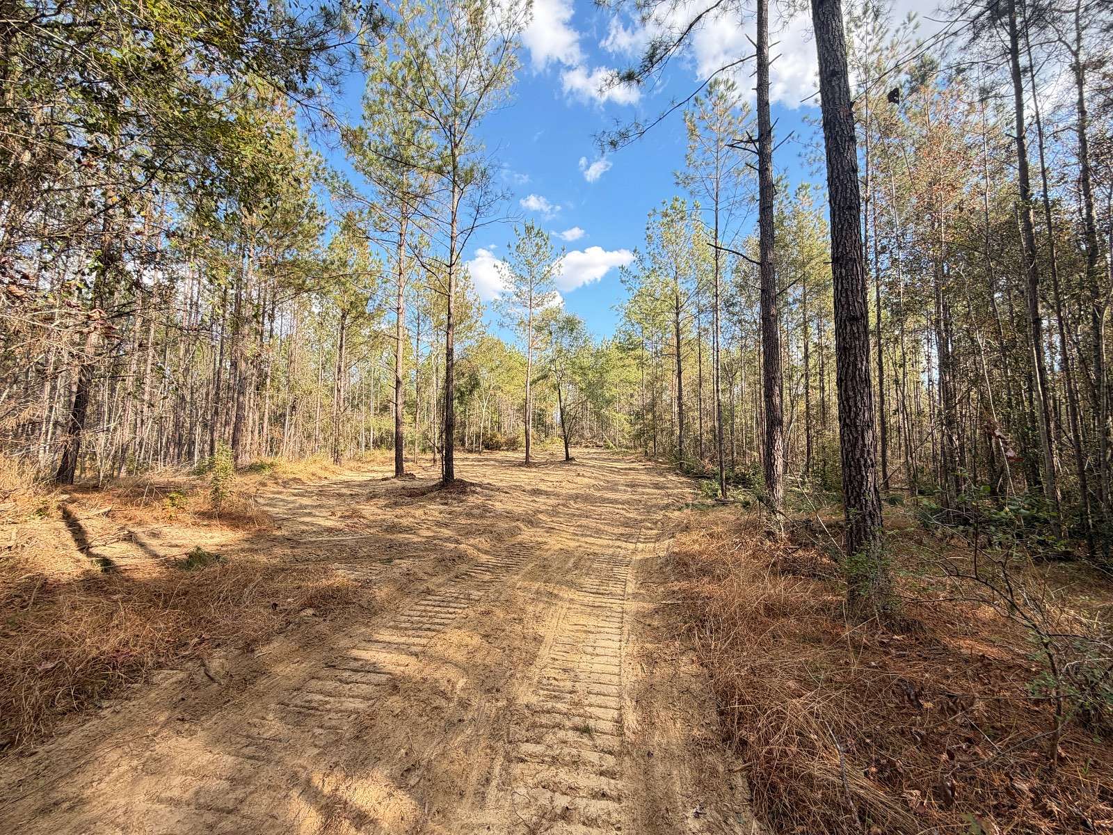 52 Acres of Recreational Land for Sale in Brantley, Alabama