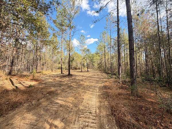 52 Acres of Recreational Land for Sale in Brantley, Alabama