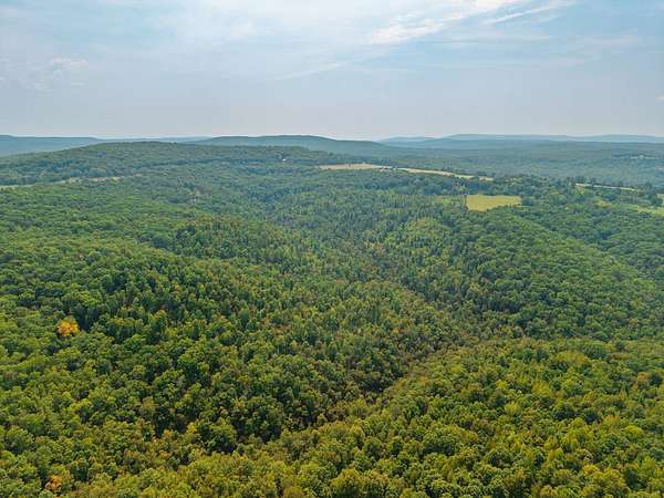 80 Acres of Recreational Land for Auction in Jerusalem, Arkansas