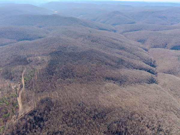 213 Acres of Recreational Land & Farm for Sale in Belvidere, Tennessee