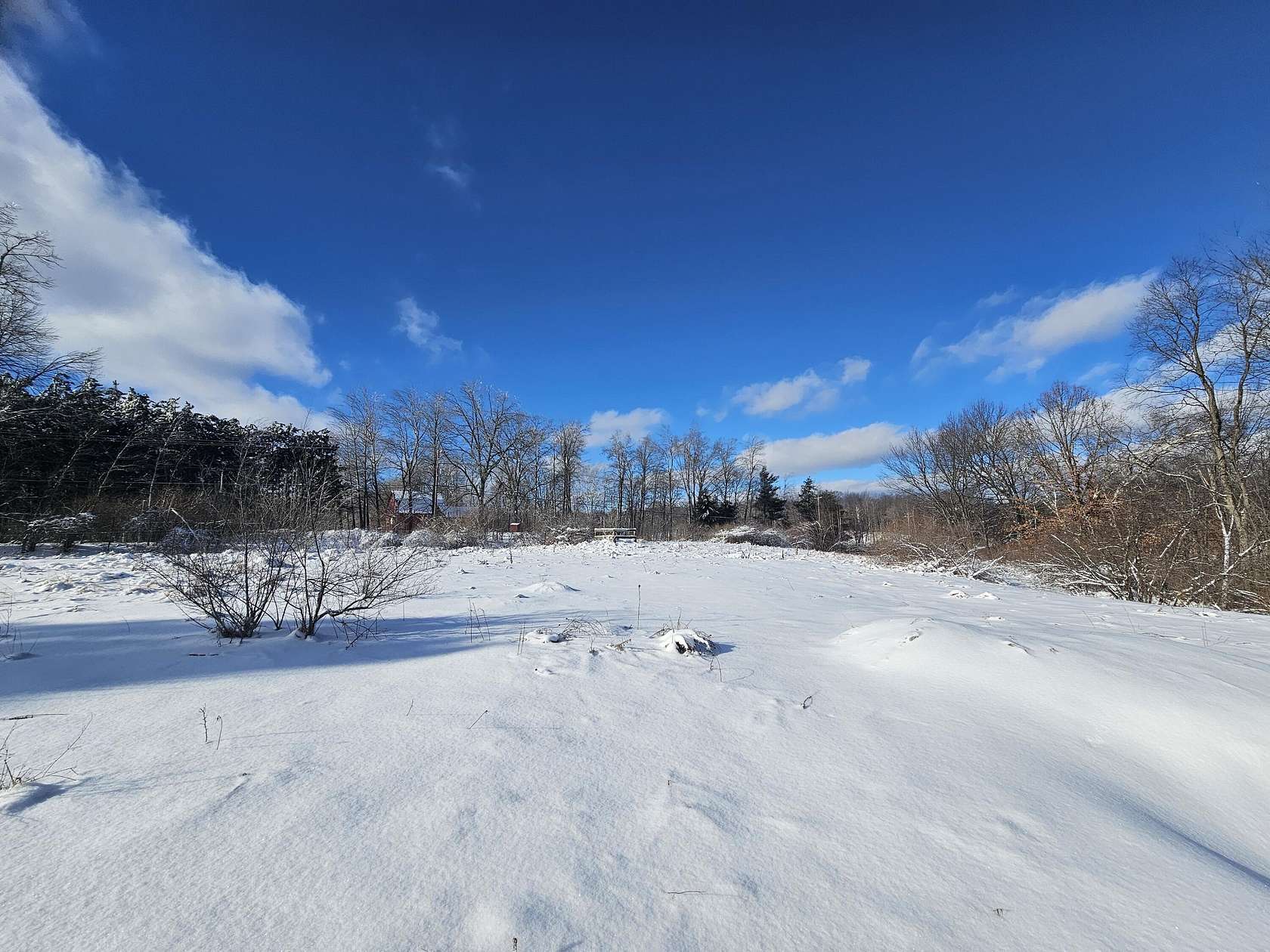 5 Acres of Land for Sale in Rodney, Michigan