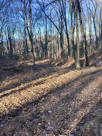 3.5 Acres of Land for Sale in Bryson City, North Carolina