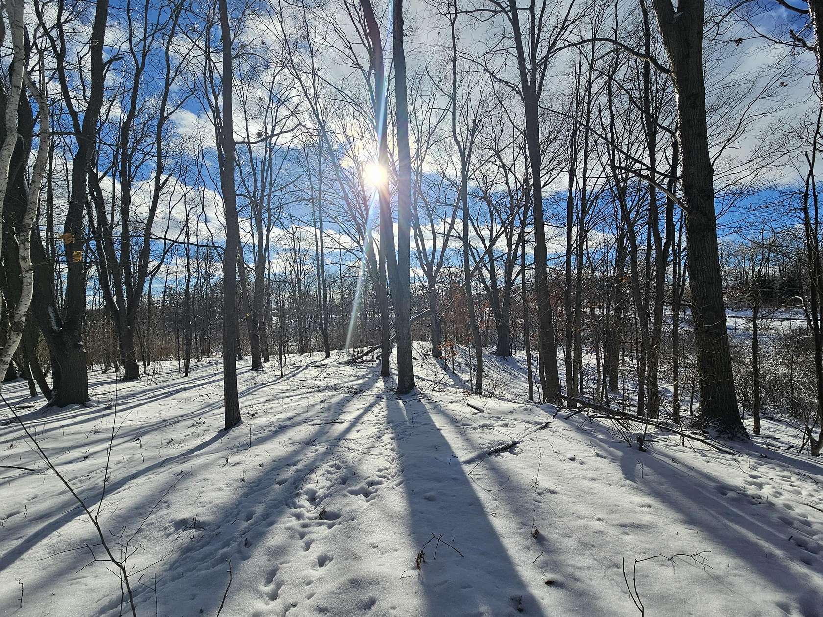 17 Acres of Recreational Land for Sale in Rodney, Michigan