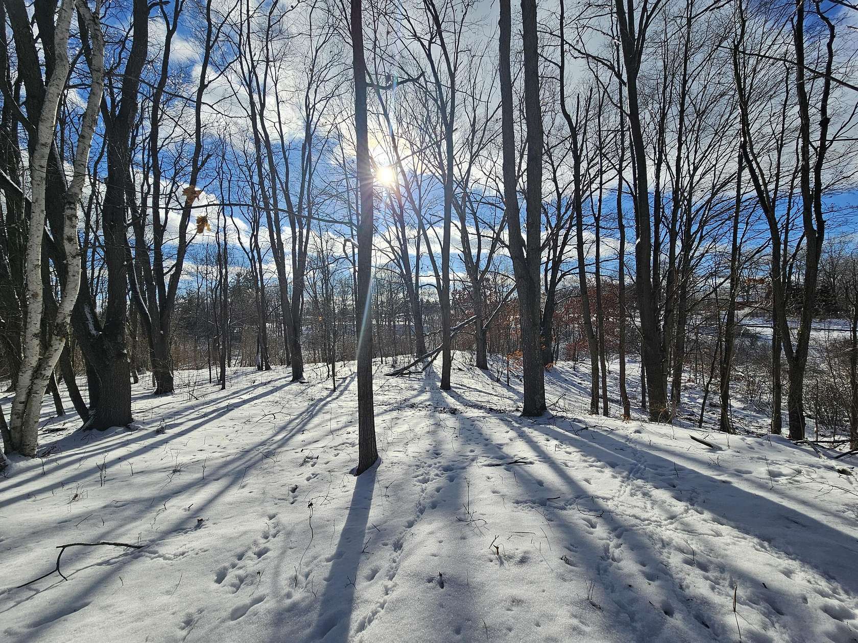 16.8 Acres of Recreational Land for Sale in Rodney, Michigan