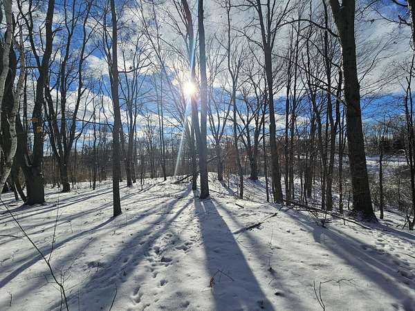 17 Acres of Recreational Land for Sale in Rodney, Michigan