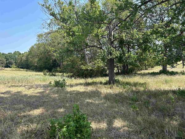 5.57 Acres of Land for Sale in Troup, Texas