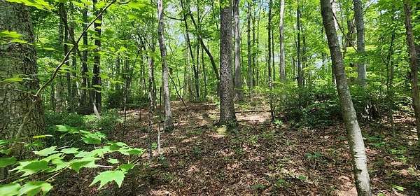 9.43 Acres of Land for Sale in Jamestown, Tennessee