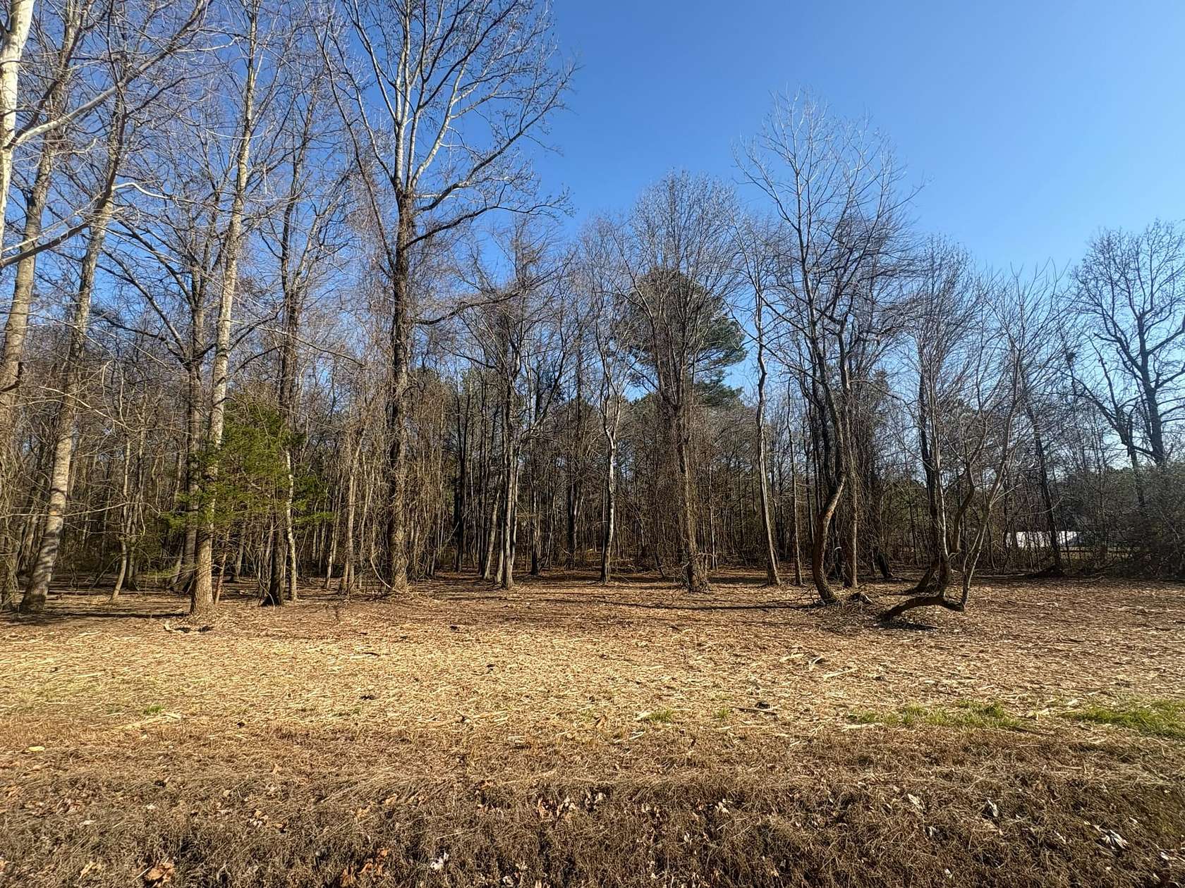 3.1 Acres of Recreational Land for Sale in Falkville, Alabama
