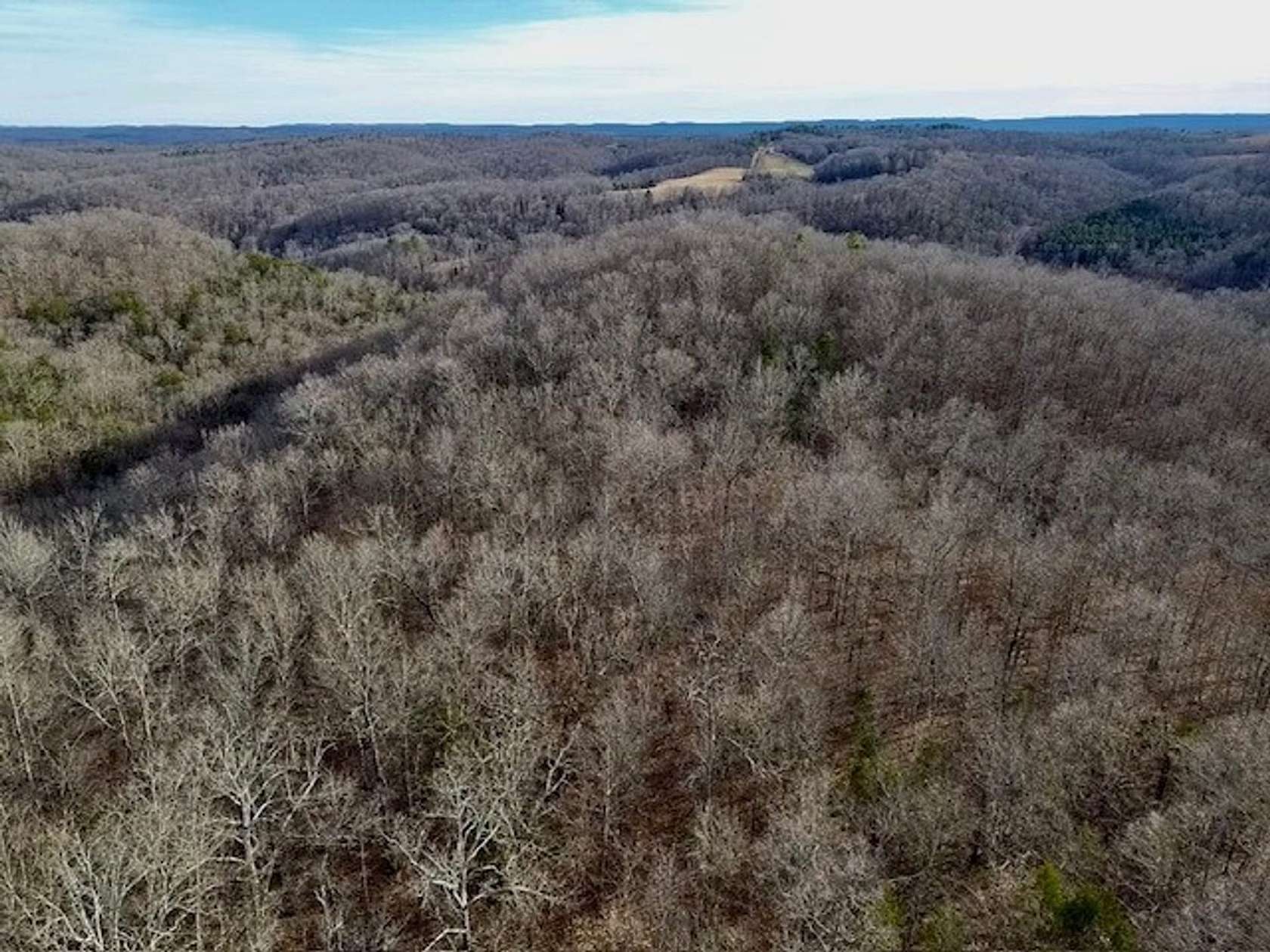 40 Acres of Recreational Land for Sale in St. Joe, Arkansas
