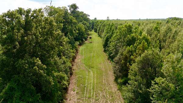 130 Acres of Improved Recreational Land for Sale in St. Joseph, Louisiana