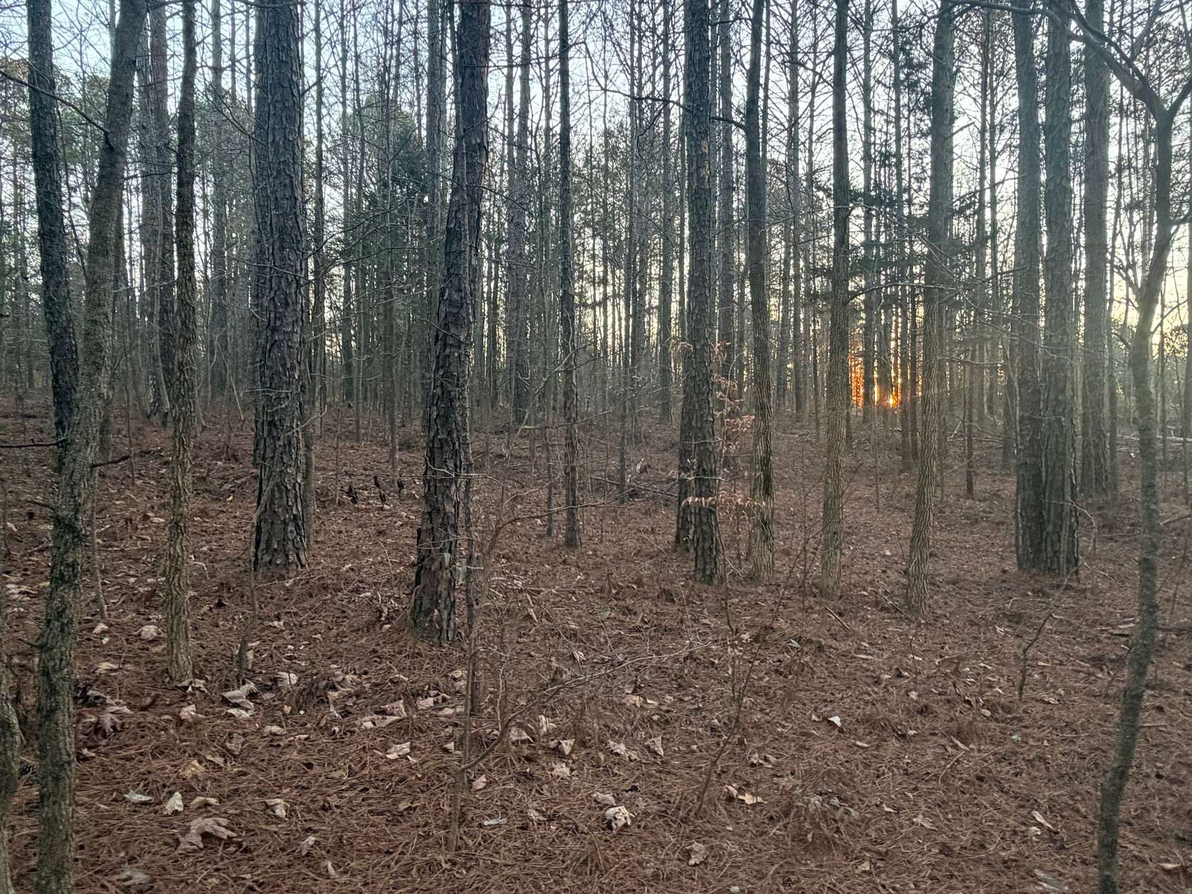 6.29 Acres of Residential Land for Sale in Bowdon, Georgia