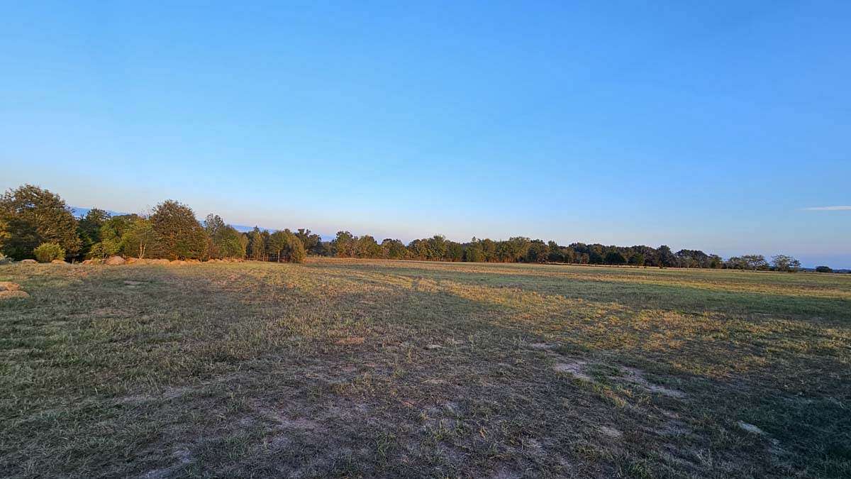 32 Acres of Land for Sale in Overton, Texas