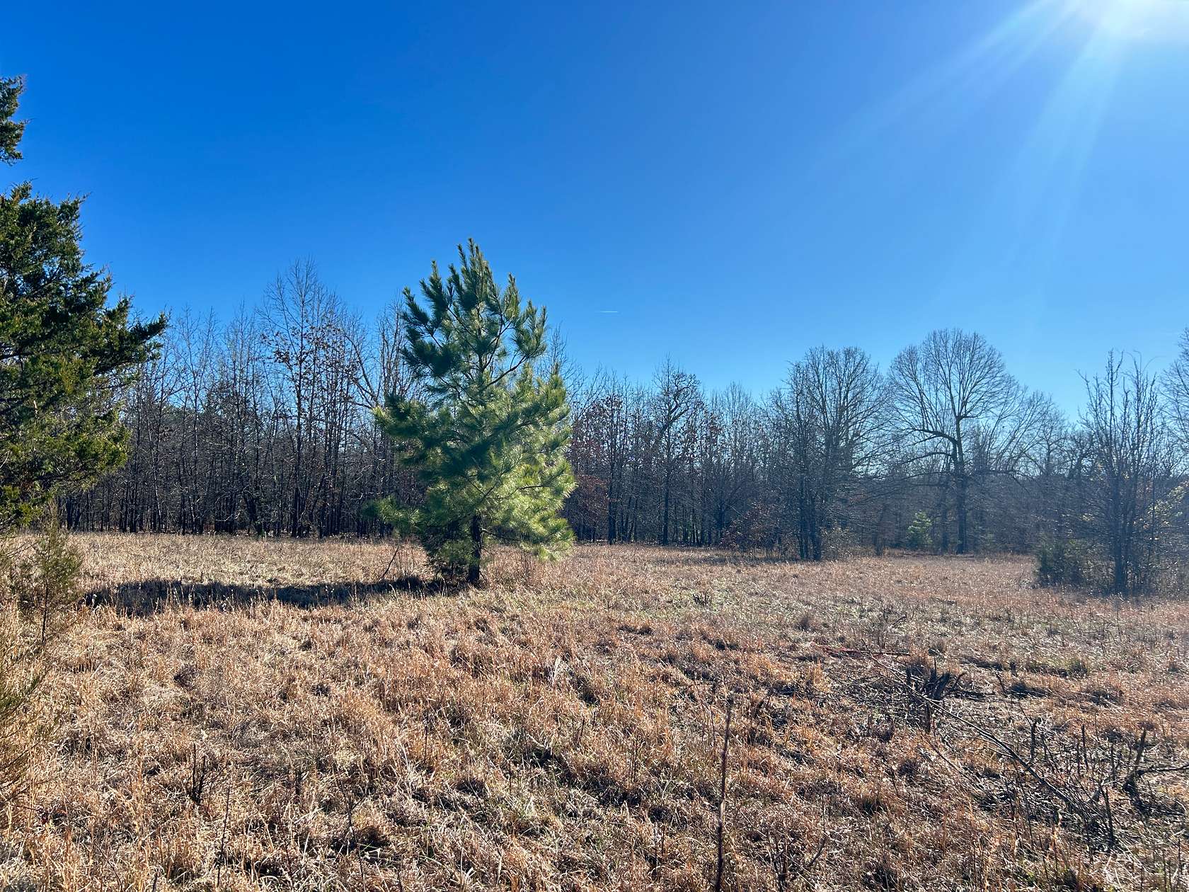 7.16 Acres of Land for Sale in Highland, Arkansas